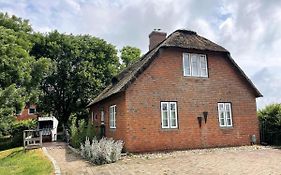 Das Puppenhaus, Reetdach, Sauna, Kamin, Eingezaeunt, Badewanne, Haustiere Willkommen Emmelsbüll-horsbüll
